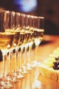 Sparkling wine glasses champagne stand in row at the bar, catering, selective focus background Royalty Free Stock Photo