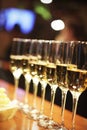 Sparkling wine glasses champagne stand in row Royalty Free Stock Photo