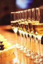 Sparkling wine glasses champagne stand in row at bar, catering Royalty Free Stock Photo