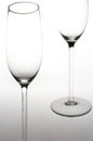 Sparkling Wine Glasses - Sektglaeser