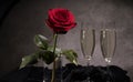 Sparkling wine and red roses in close-up Royalty Free Stock Photo