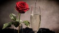 Sparkling wine and red roses in close-up Royalty Free Stock Photo