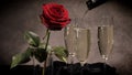 Sparkling wine and red roses in close-up Royalty Free Stock Photo