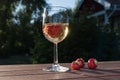 Sparkling wine and strawberries in a garden Royalty Free Stock Photo