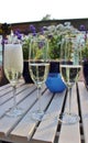 Sparkling wine Royalty Free Stock Photo