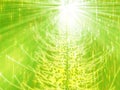 Sparkly christmas tree illustration Royalty Free Stock Photo