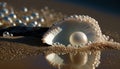 Sparkly pearl in an shell. Sand beach with luxury glimmer jewels. Pearly beads in a seashell by the sea. Royalty Free Stock Photo