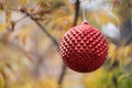 Red Ball Christmas Ornament Outside Royalty Free Stock Photo