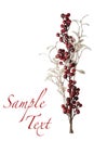 Sparkly Red Berries and Silver Glitter Pearl Leaves Background Royalty Free Stock Photo