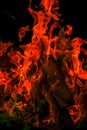 Sparks And Flames.fiery Wallpaper. Variegated Flames And Colorful Sparks.Multicolored Flame.Firewood Burning In Bonfire