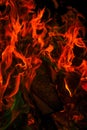 Sparks and flames wallpaper. Variegated flames and colorful sparks.Multicolored flame.Firewood burning in bonfire