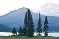 Sparks Lake Oregon Peaceful Twilight Landscape Royalty Free Stock Photo