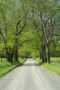 Sparks Lane in Cades Cove of Smoky Mountains, TN, USA. Royalty Free Stock Photo