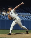 Sparky Lyle