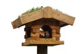 Sparrow bird feeders Royalty Free Stock Photo