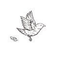 Sparrow bird flying sketch vector illustration Royalty Free Stock Photo