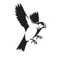 Sparrow bird flying vector black and white color Royalty Free Stock Photo