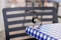 Sparrow bird male perching On table bar Restaurant waiting for eat crumbs