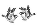 Sparrow birds tattoo sketch engraving