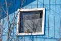 Sparrow on the broken attic window