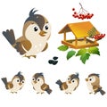 Sparrow. Color image of cartoon bird with feeder on white background. Vector illustration set for kids
