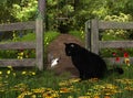 Sparrow and Cat with Flowers. 3D Illustration