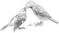 Sparrow feeds baby bird