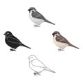 Sparrow icon in cartoon style isolated on white background. Bird symbol stock vector illustration.