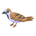 Sparrow icon isometric vector. Bird sprite