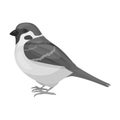 Sparrow icon in monochrome style isolated on white background. Bird symbol stock vector illustration.
