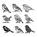 Sparrow Outline Icon Isolated Line Vector Illustration