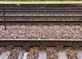 Sparrow perched on barbed wire fence between rails of railroad tracks Royalty Free Stock Photo