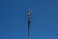 Sparrow sits on the antenna against of a sky Royalty Free Stock Photo