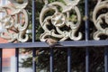 A sparrow sits on a fence. Birds living on the street. Urban animals. Royalty Free Stock Photo