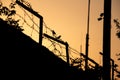 Sparrows on barbed wire, sunset, oppressive atmosphere, silhouettes of birds