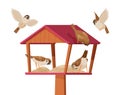 Sparrows in birdhouse. Chirp birds characters flying and eating crumbs in birdhouse exact vector cartoon background