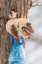 Sparrows Eating Bread Royalty Free Stock Photo