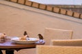 Sparrows eating leftovers from a table at a cafe.