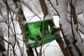 Sparrows near the homemade bird feeder, eating grain. help the birds in winter. protection of birds and animals