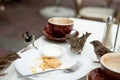 Sparrows nuisance on cafe table.