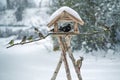 Sparrows, tits, blackbird and a woodpecker at a bird feeder house in the snow, winter feeding for wild birds in the garden, copy Royalty Free Stock Photo