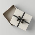 Sparse monochrome image of an open gift box, its contents hidden yet promising. Royalty Free Stock Photo