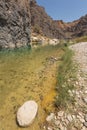 Sparse vegetation along the water