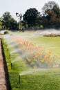 Spart garden with working sprinkler irrigation system, Royalty Free Stock Photo