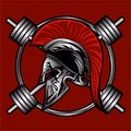 Spartan fitness vector design
