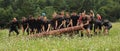 Spartan obstacle running race