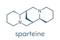 Sparteine scotch broom alkaloid molecule. Skeletal formula.