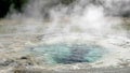 Spasmodic geyser in yellowstone national park, usa Royalty Free Stock Photo