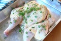 Spatchcock chicken with fresh herbs Royalty Free Stock Photo