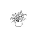 spathiphyllum with flowers houseplant. Indoor potted plant vector black and white outline doodle illustration.